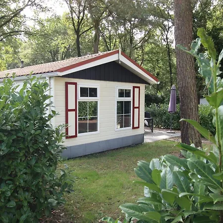 Holiday park Forest *